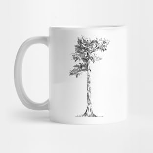 Sentinel Tree Alamo Sq Park San Francisco Mug